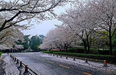 四月，武漢將有序恢復(fù)對外交通