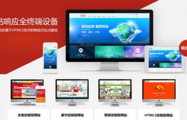 武漢建站公司盛世互聯(lián)服務項目介紹